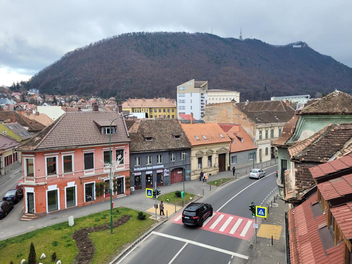 Ema's Vintage Spacious 2 Bedroom With Mountain View Brasov