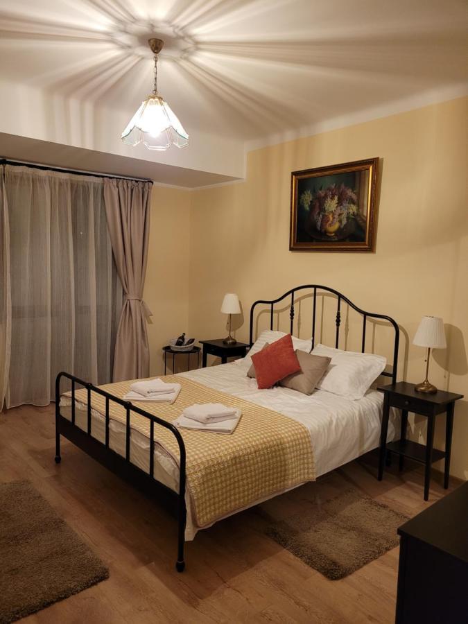 Ema's Vintage Spacious 2 Bedroom With Mountain View Apartment Brasov